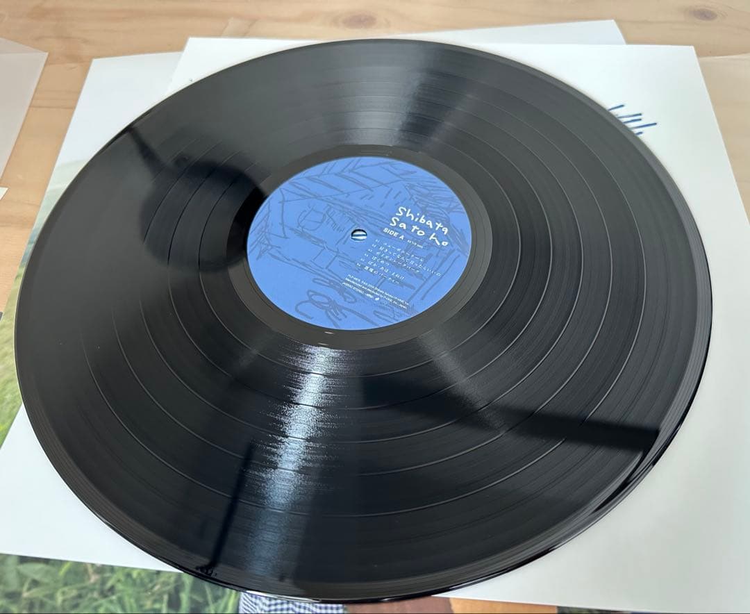 柴田聡子　レコード