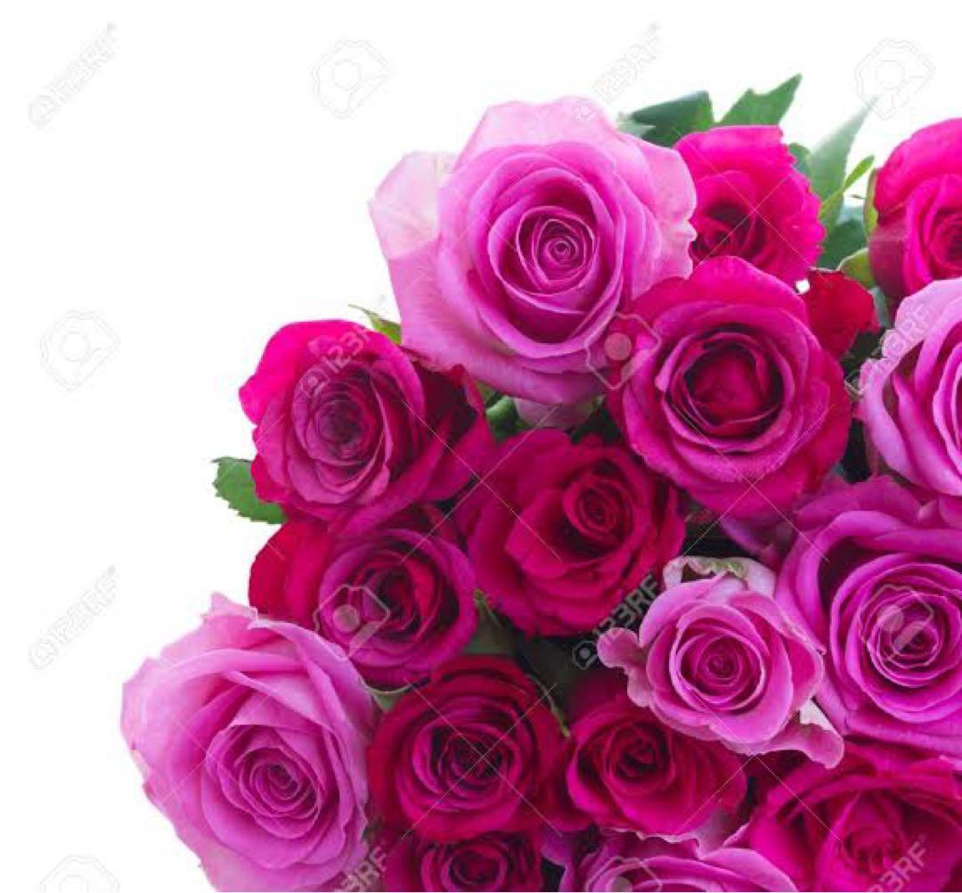 めろんちゃん専用