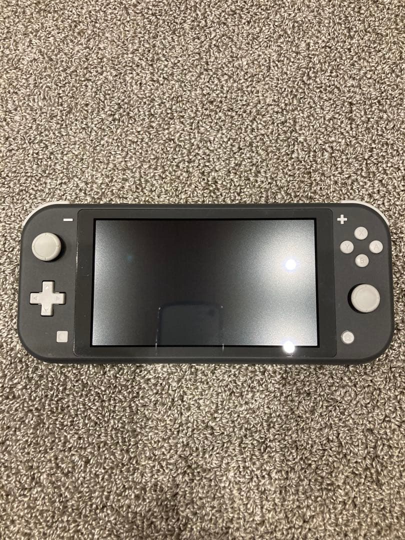 Nintendo Switch ライト 本体 グレー