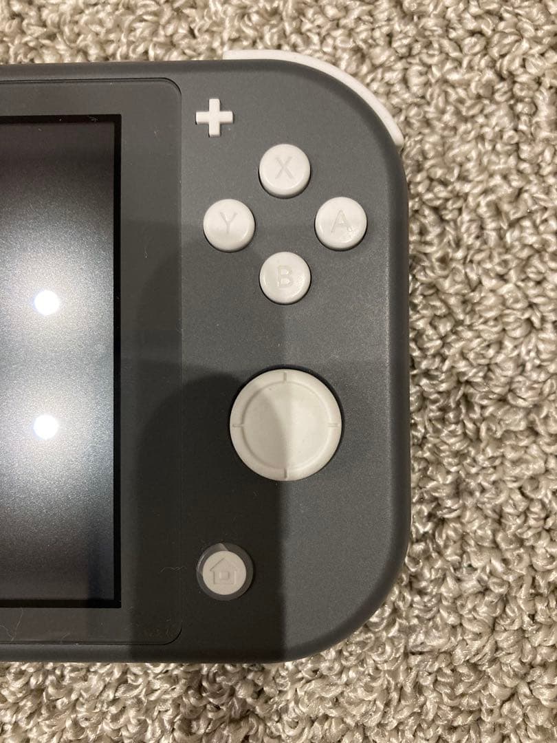 Nintendo Switch ライト 本体 グレー