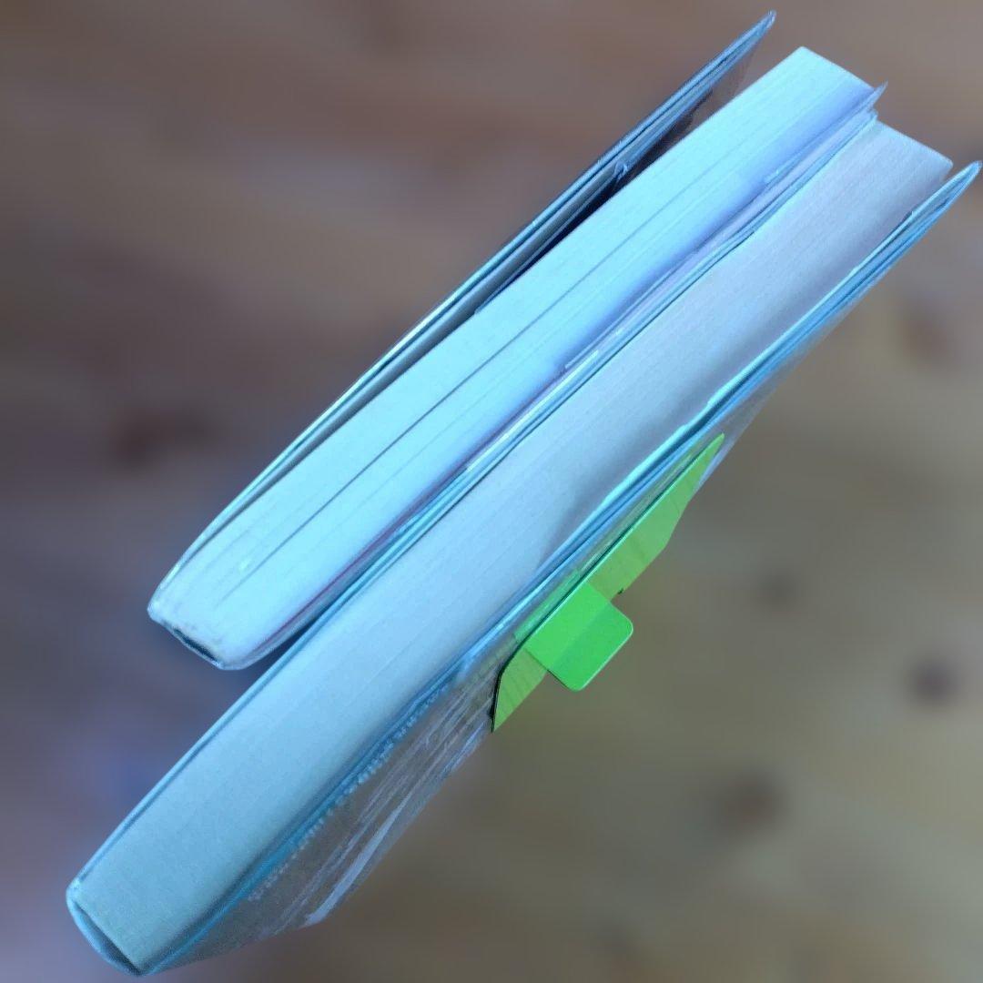 香港城砦２撰【　香港ルーフトップ、九龍城探訪　】＋（α）