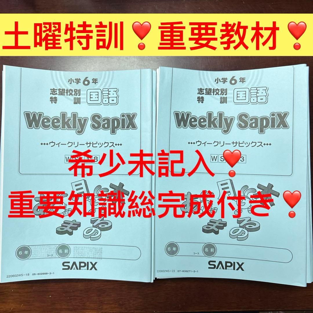 ⑳AA サピックス　SAPIX Weekly Sapix 小学6年 数学問題集