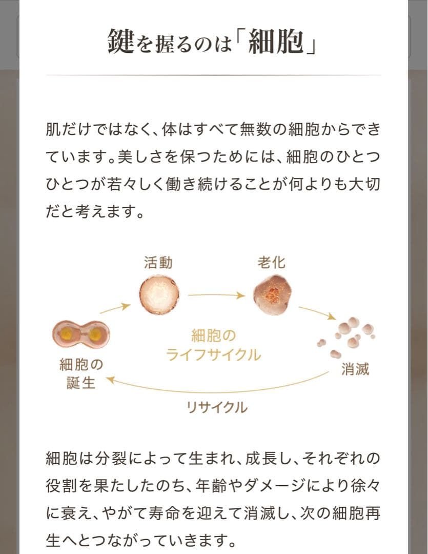 【新品未開封】アムウェイ ロンジェビティ クリーム&アイクリーム 定価67500