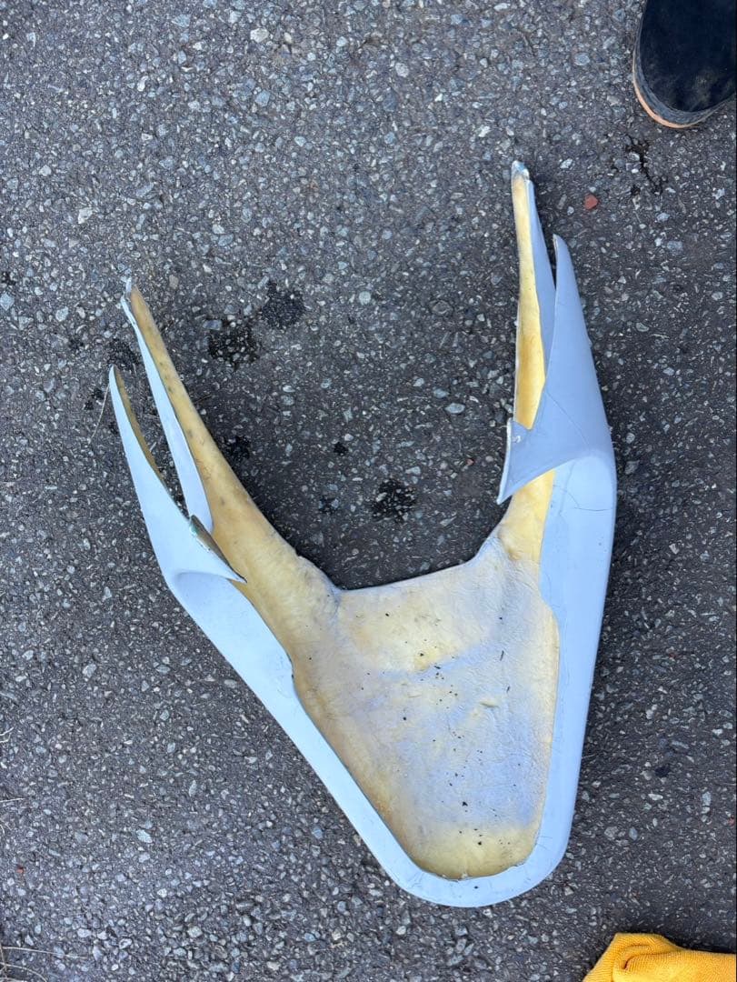 ライブディオ 紫紋エアロ