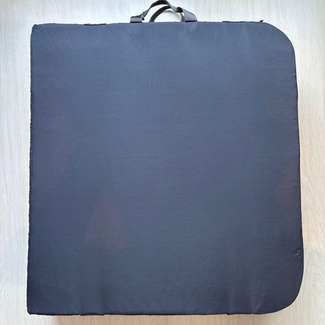 【数回利用】ブレインスリープ ALL IN ONE マットレス＆ピロー