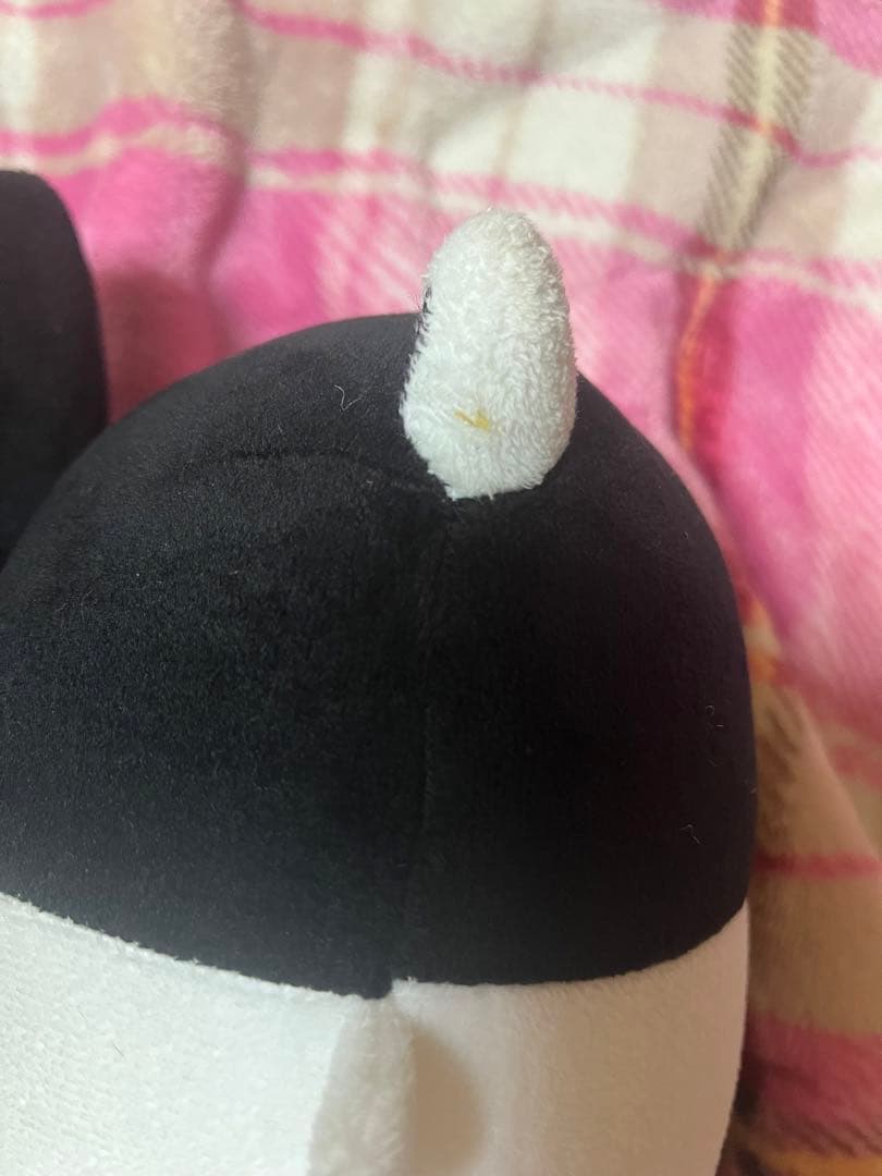 K-POP・アジア BTS