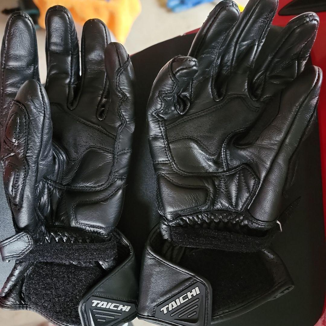 rsTAICHI グローブ アルパインスターズ　ダイネーゼ　カーボン