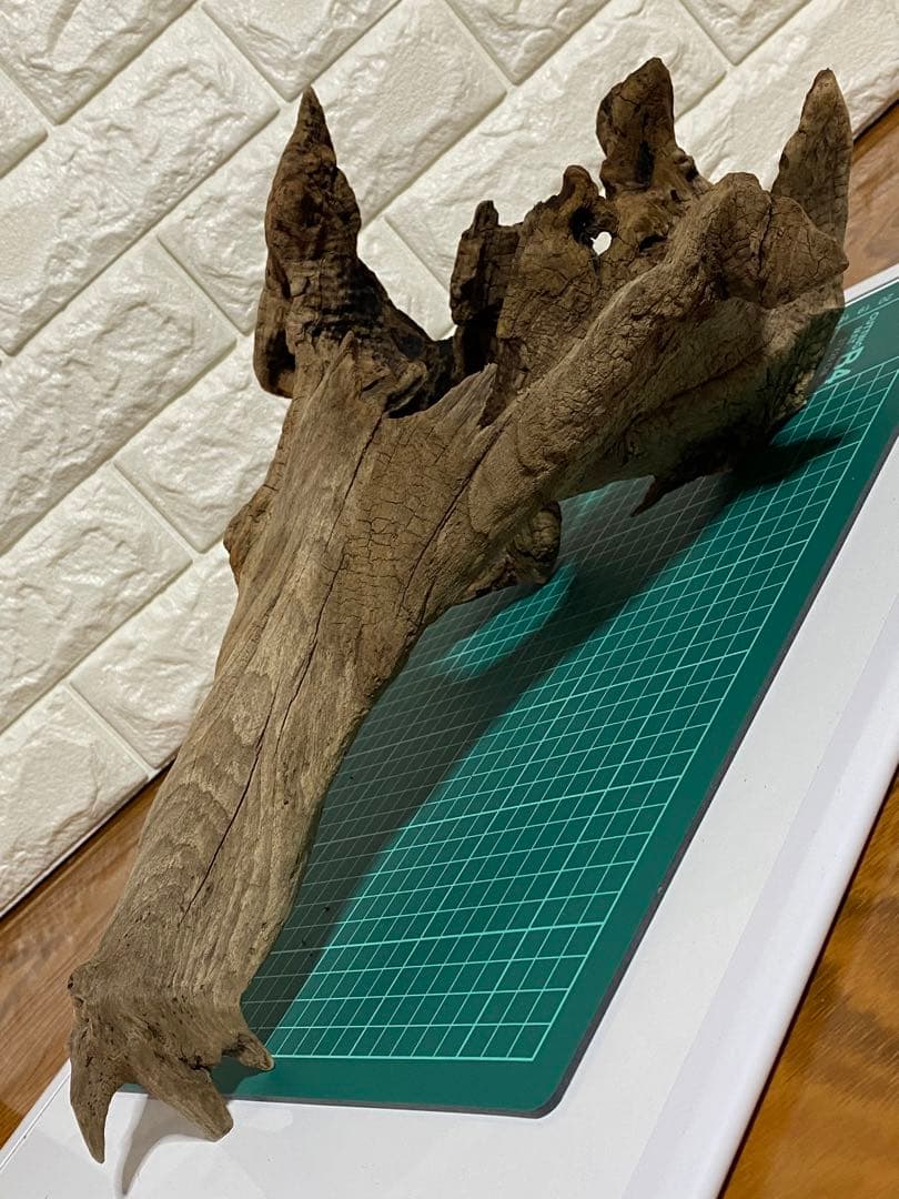 コエポンさま専用おまとめ