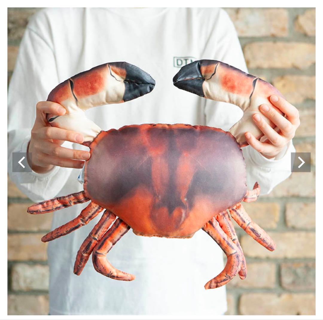 新品未開封　dulton クッション　セット　魚・蟹