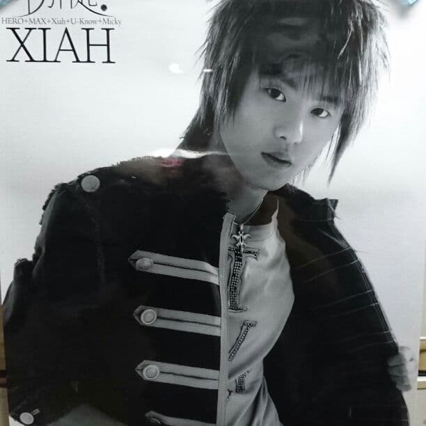 確認用★東方神起★限定販売★HUGポスターフルセット