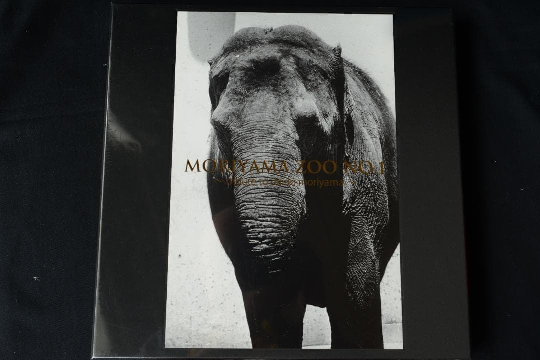 【 Moriyama Zoo No.1：森山大道】新品・未開封・美本