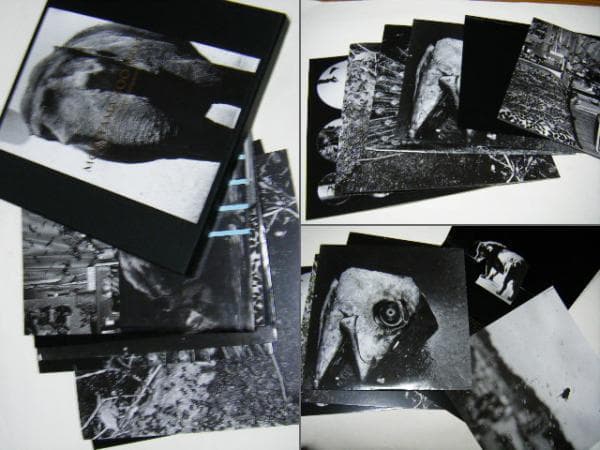 【 Moriyama Zoo No.1：森山大道】新品・未開封・美本