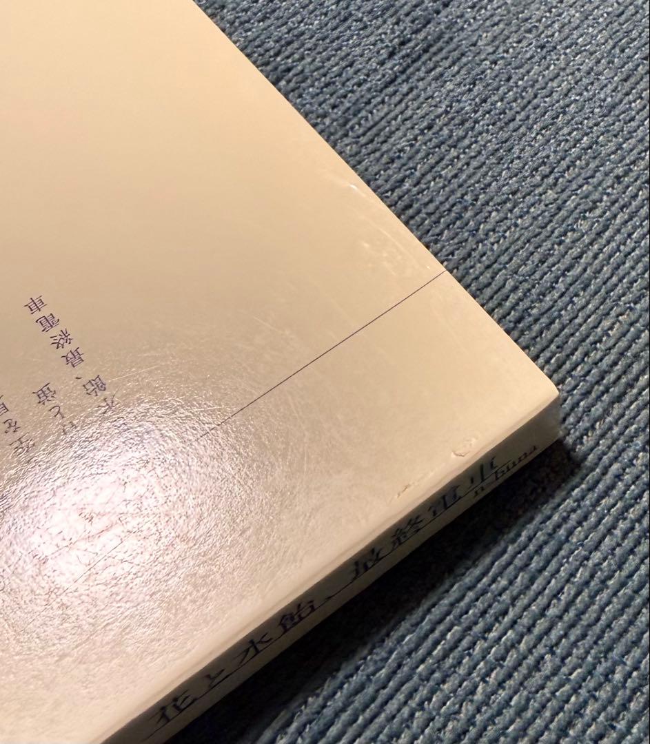 花と水飴、最終電車 初回限定盤 劇場愛歌 タワレコ特典 n-buna