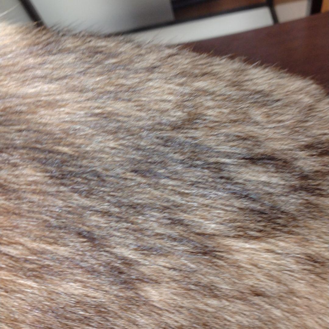 タヌキの置物 ガラスケース付き