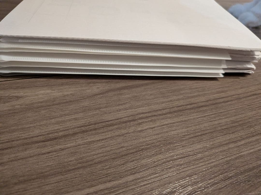 女子雑関校 　小学校受験　伸芽会　17回分