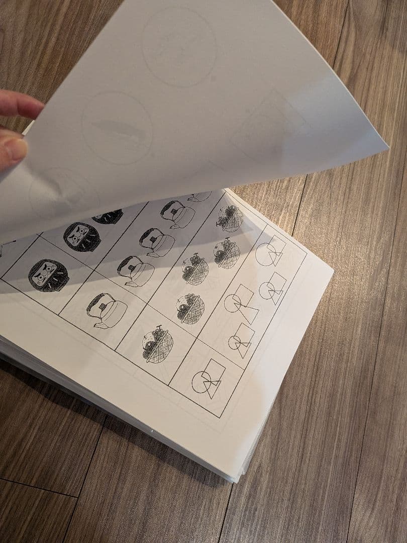 女子雑関校 　小学校受験　伸芽会　17回分