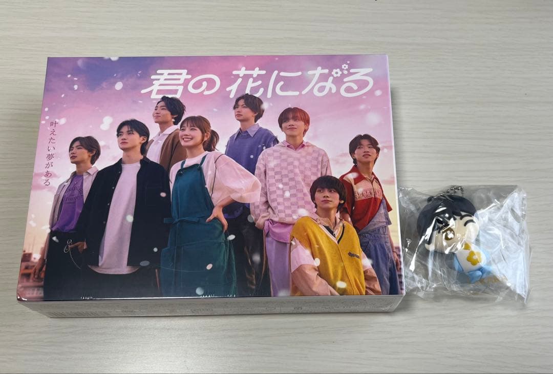 君の花になる　DVDBOX