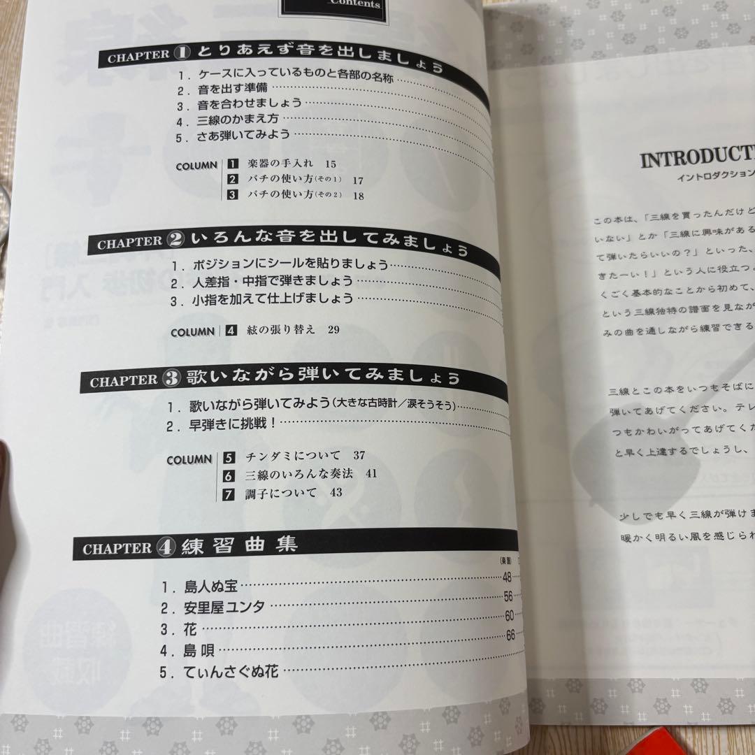 沖縄三線 人工皮 蛇柄 弦楽器 教本 バチ ケース付き 入門　初心者向