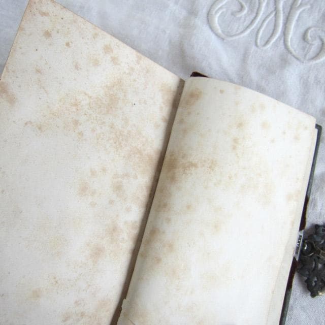 フランスアンティーク 祈祷書 ベルベット 花彫 金具19世紀 聖書