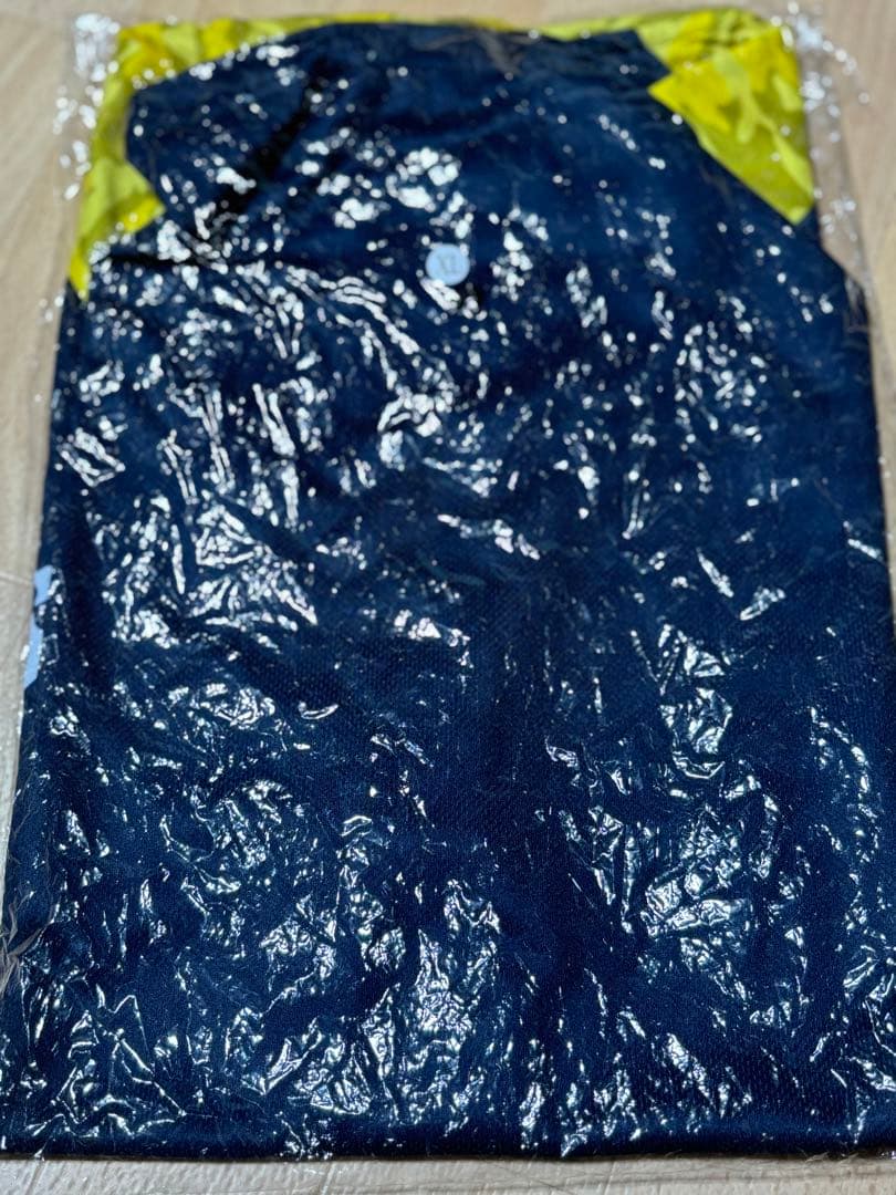 2022年甲子園大会 優勝SENDAI IKUEI 記念Tシャツ仙台育英XL阪神