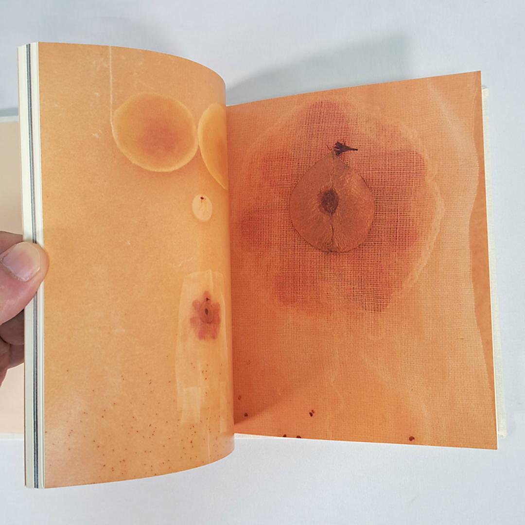 A Quality of Noticing/内藤礼/図録/1000部限定/希少本