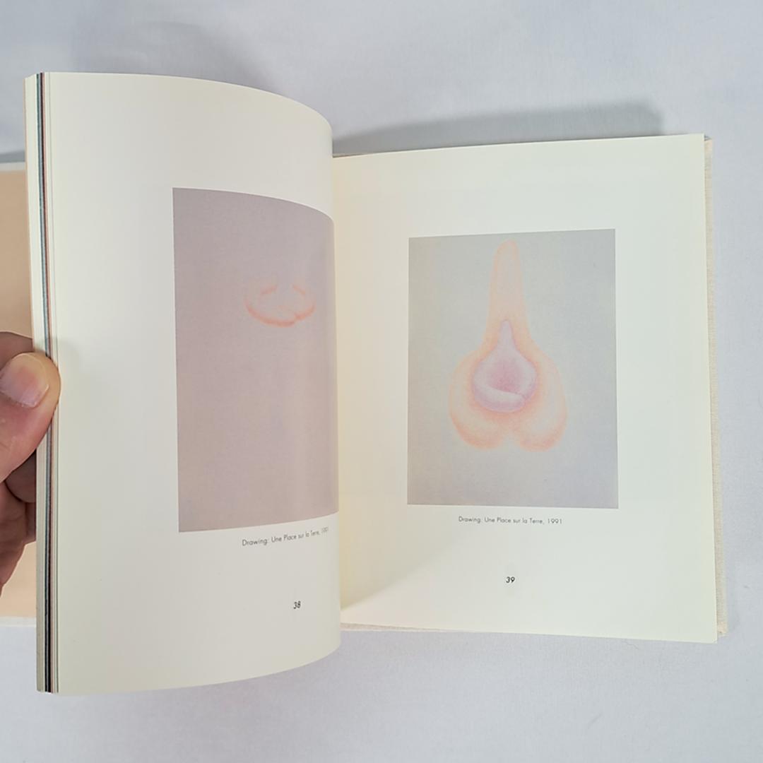 A Quality of Noticing/内藤礼/図録/1000部限定/希少本