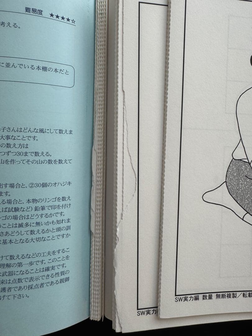 ニチガクの小学校受験用問題集　サクセスウォッチャーズ　11冊セット　まとめ売り