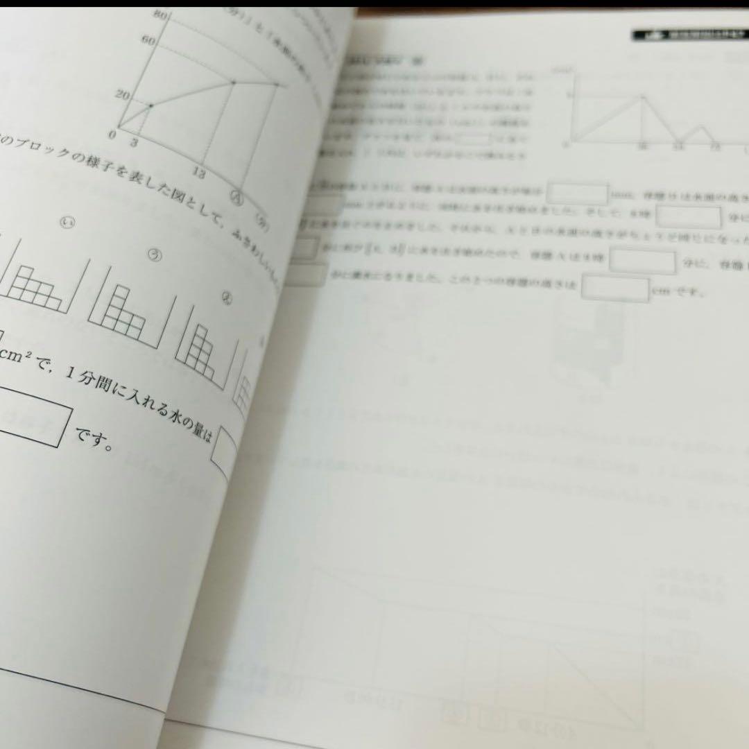 ㉔ AB 新品自宅保管　早稲田アカデミー 【NN女子学院の算数315】