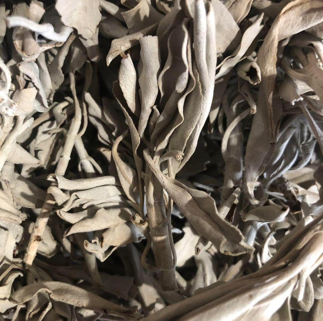 激安価格☆無農薬ホワイトセージ枝付きクラスター1KGお香浄化業務用価額