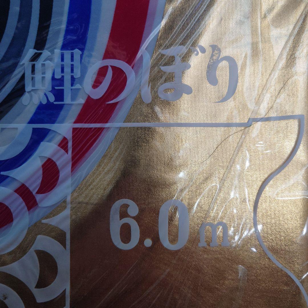 きまぐれ　フジサン鯉のぼり6mセット