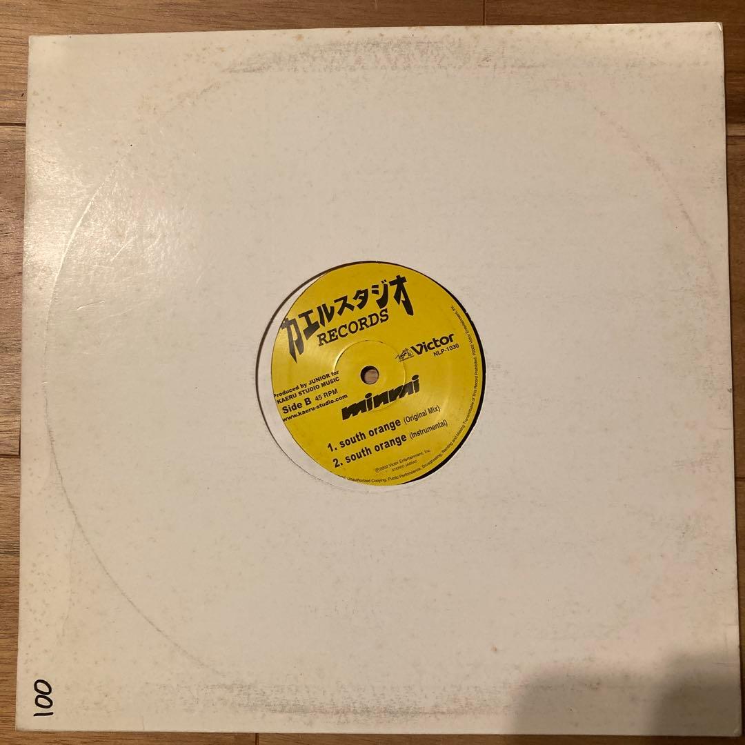 激レアminmi /The Perfect Vison,South Orange