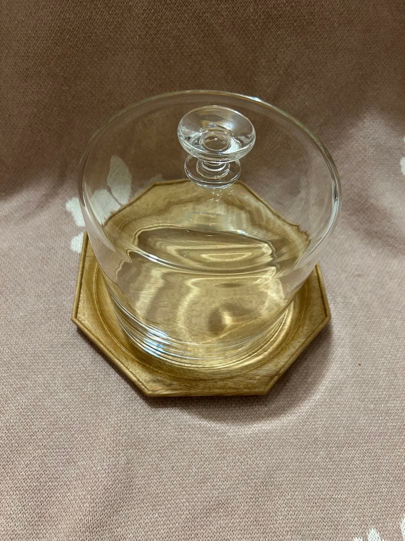 奥 泰我・鈴木 潤吾 dome＋オクトゴナル6寸（ナラ） ガラスドーム NODE