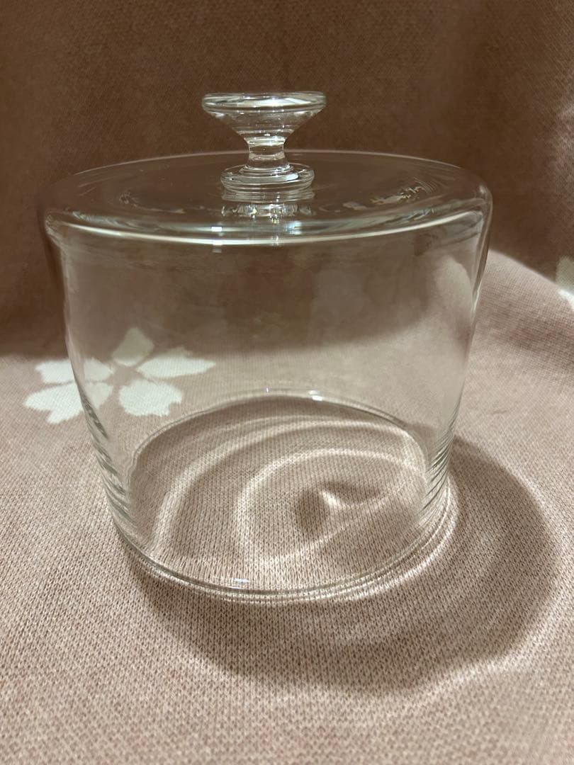 奥 泰我・鈴木 潤吾 dome＋オクトゴナル6寸（ナラ） ガラスドーム NODE