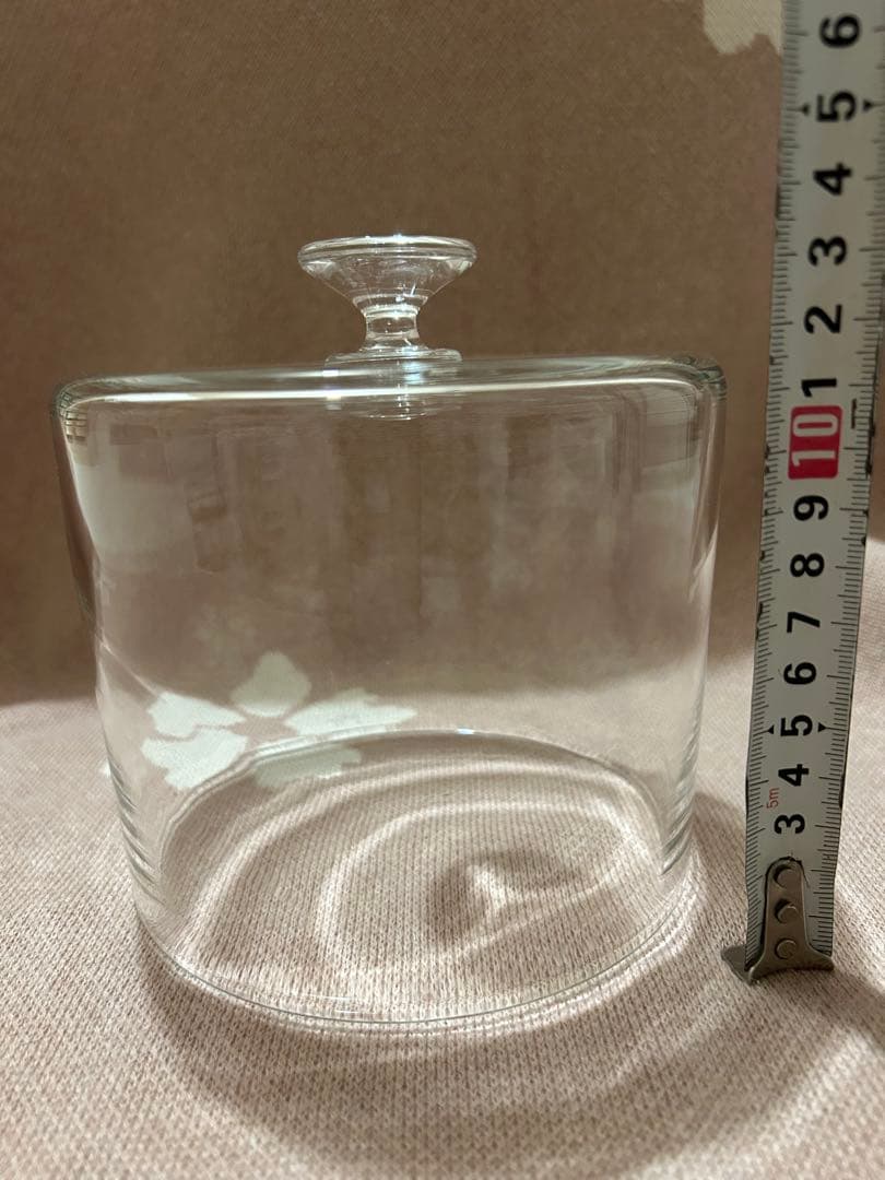 奥 泰我・鈴木 潤吾 dome＋オクトゴナル6寸（ナラ） ガラスドーム NODE