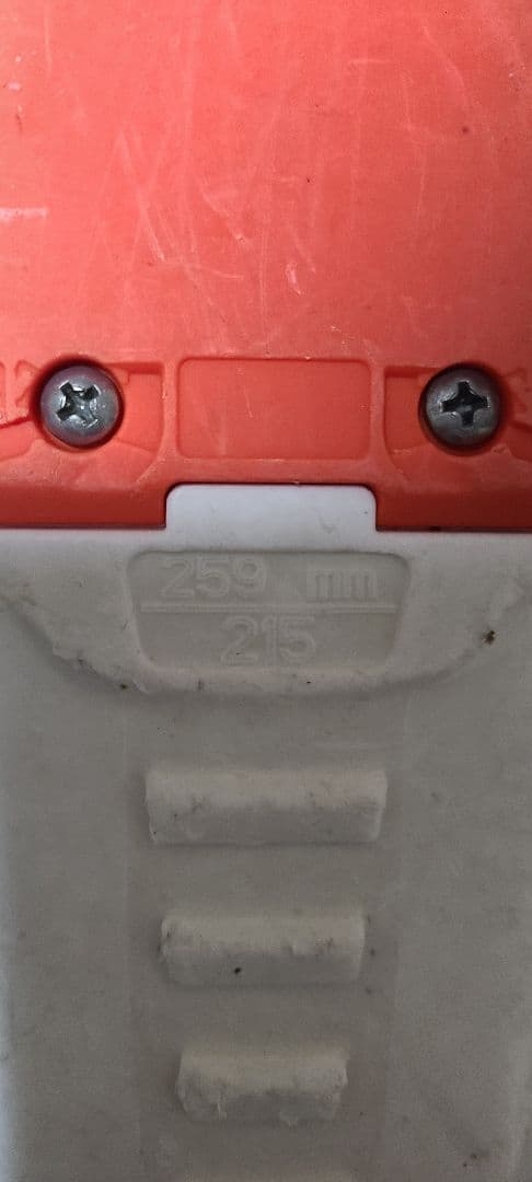 スキーブーツ　ジュニア　ダルベロ