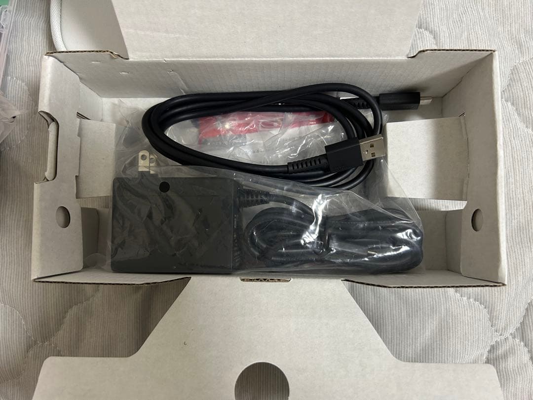 Nintendo Switch Lite 青 + ソフト2本+ケース