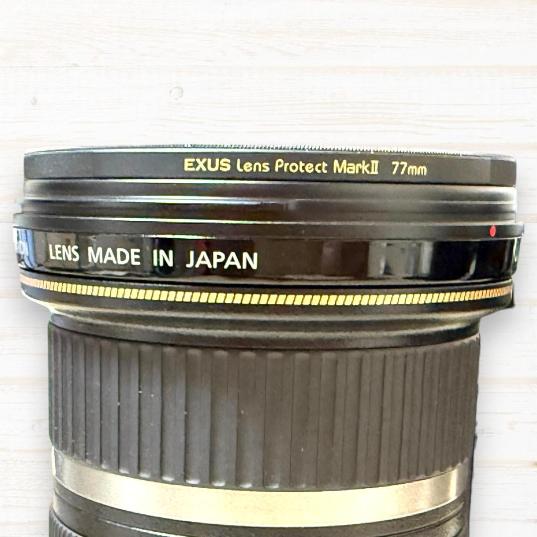Canon 広角ズームレンズ EF-S 10-22mm USM #262