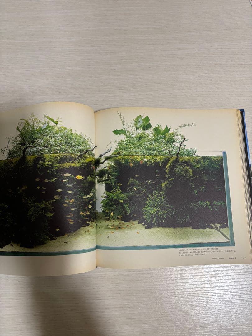 【希少】創造の原点　天野尚作品集／Origin of Creation