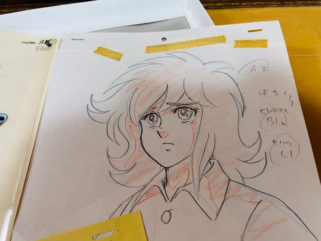 聖闘士星矢　荒木伸吾先生直筆サインカラー色紙　証明書額付　瞬　一輝　セル画セット