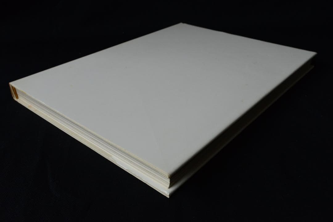 【Irving Penn：Augenblicke】★★大幅に値下げしました