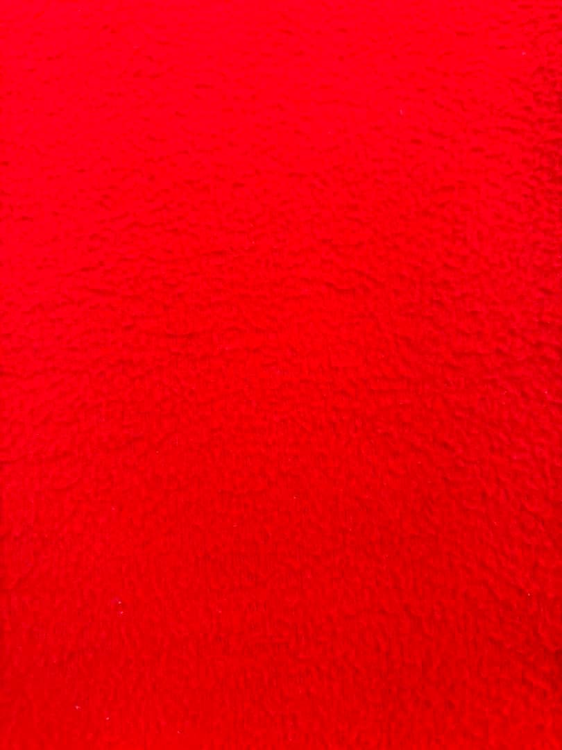 クイーン）レア　珍品　パタゴニア　フリースパンツ　リブ付き　XLXXL 古