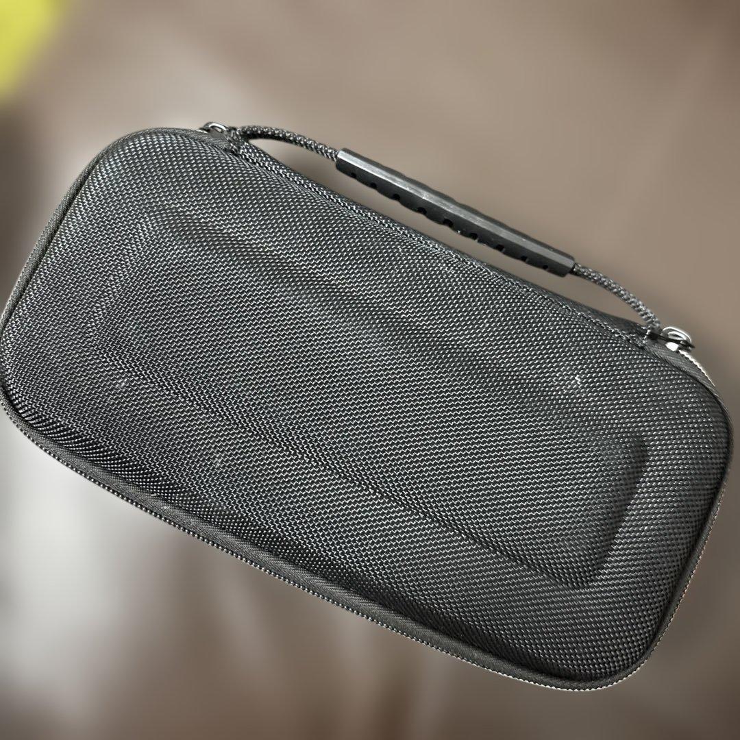 Nintendo Switch Lite ピンク 本体 ケース付き