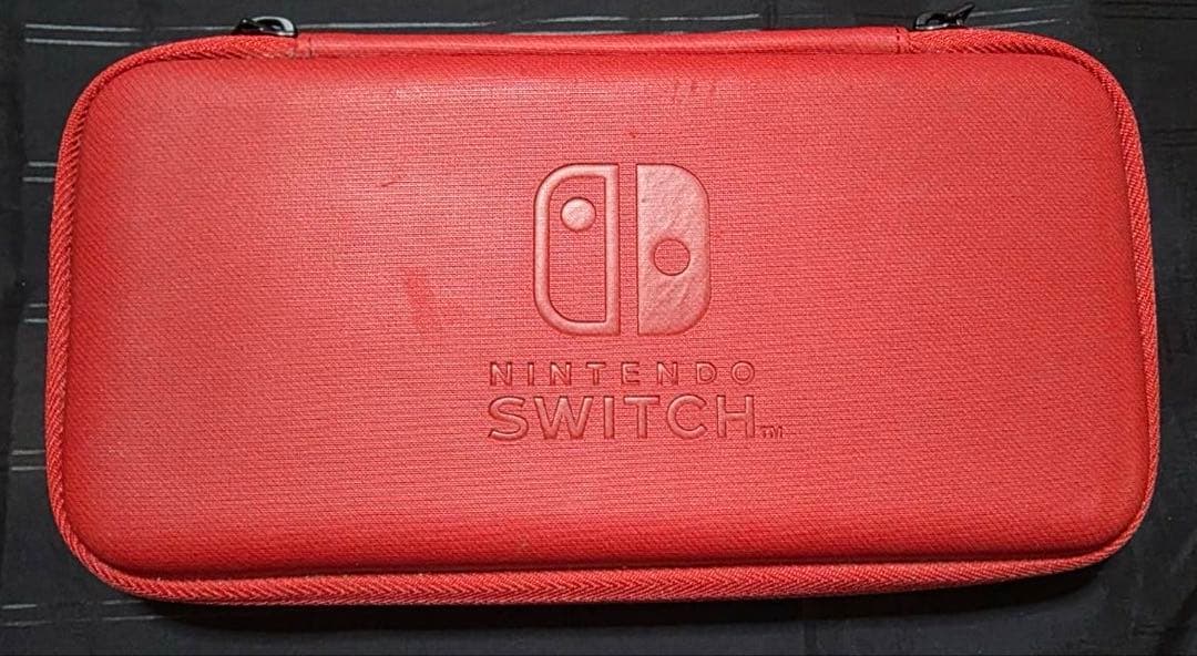 雨*様 Nintendo Switch Lite ターコイズ　ケース付