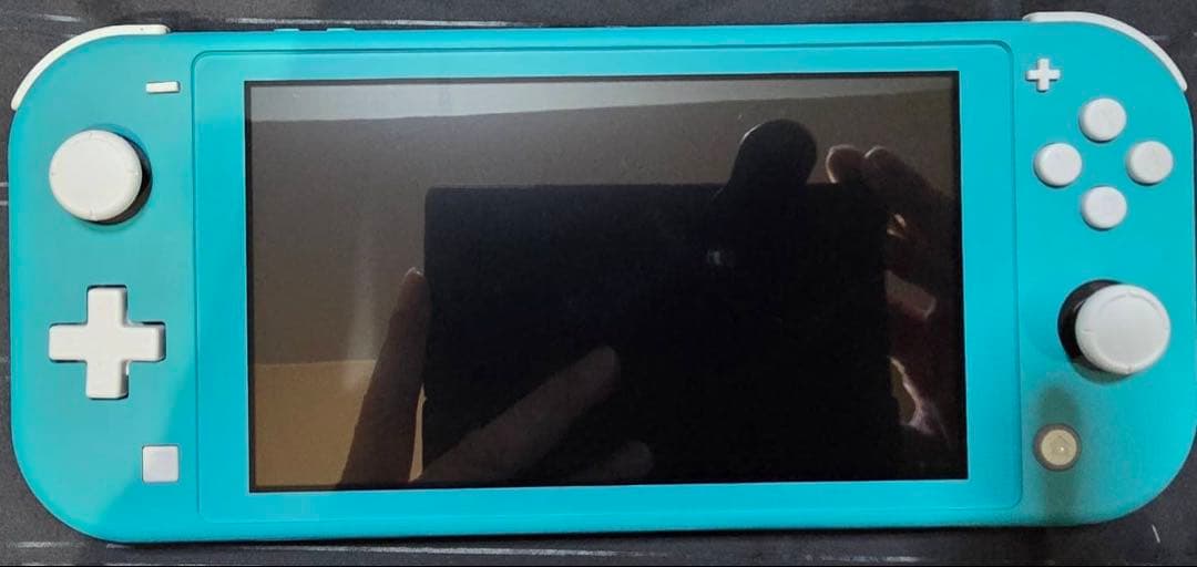 雨*様 Nintendo Switch Lite ターコイズ　ケース付