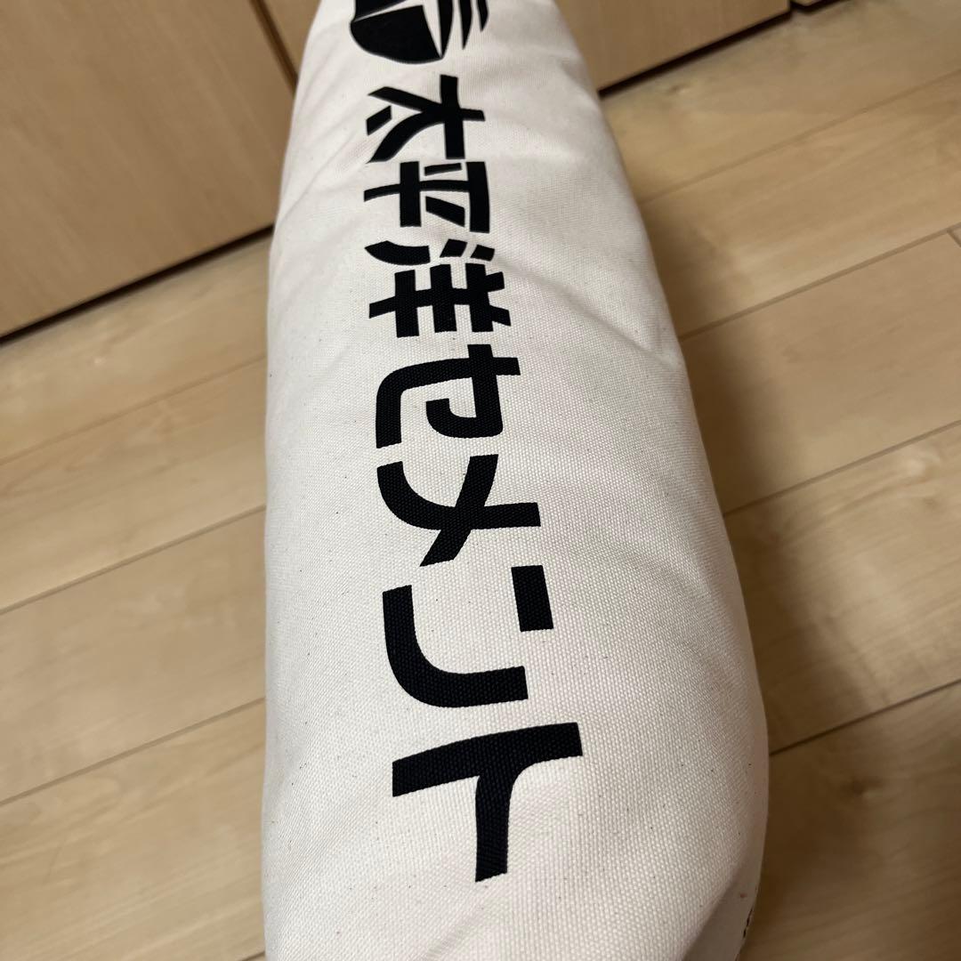 専用　太平洋セメント　クッション