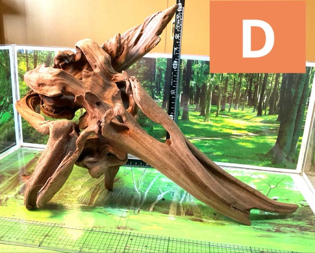 けすけ様　ご提案用　天然水槽用流木　沈水確認済み