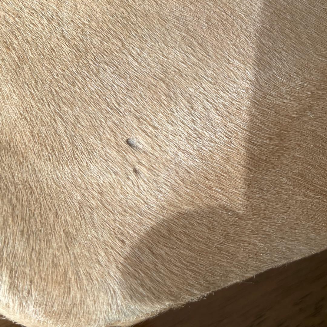 Dior　ディオール　ハラコ　ベージュ　ショルダー　バック