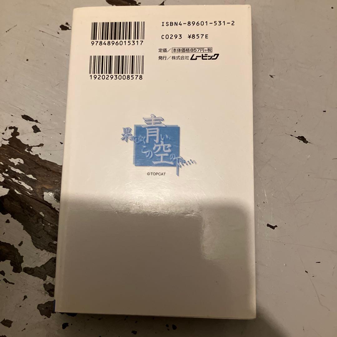 果てしなく青い、この空の下で 小説版 ノベル 激レア 千田誠行