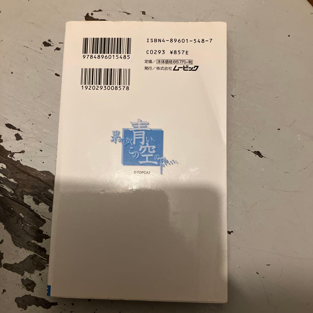 果てしなく青い、この空の下で 小説版 ノベル 激レア 千田誠行