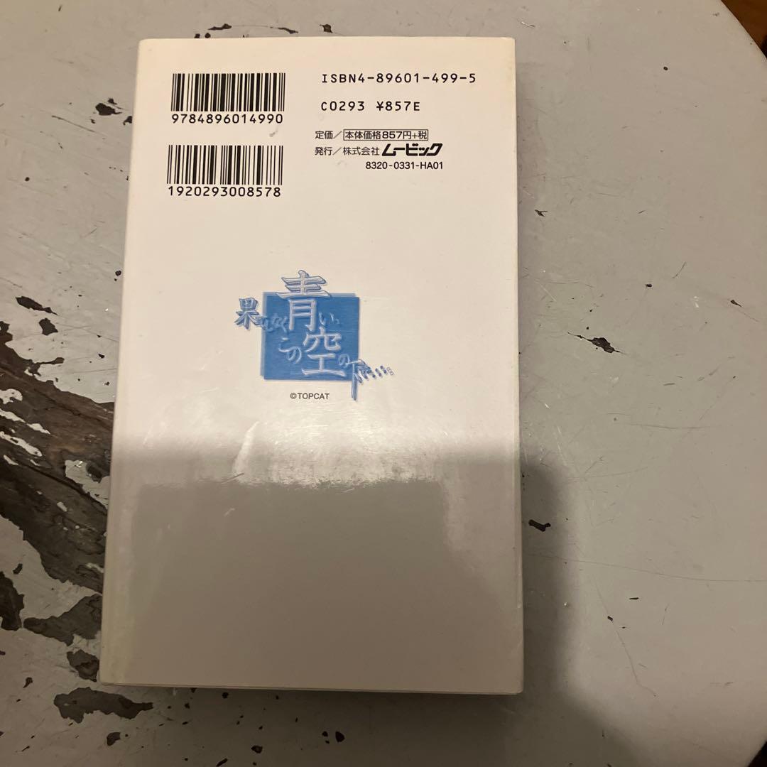 果てしなく青い、この空の下で 小説版 ノベル 激レア 千田誠行